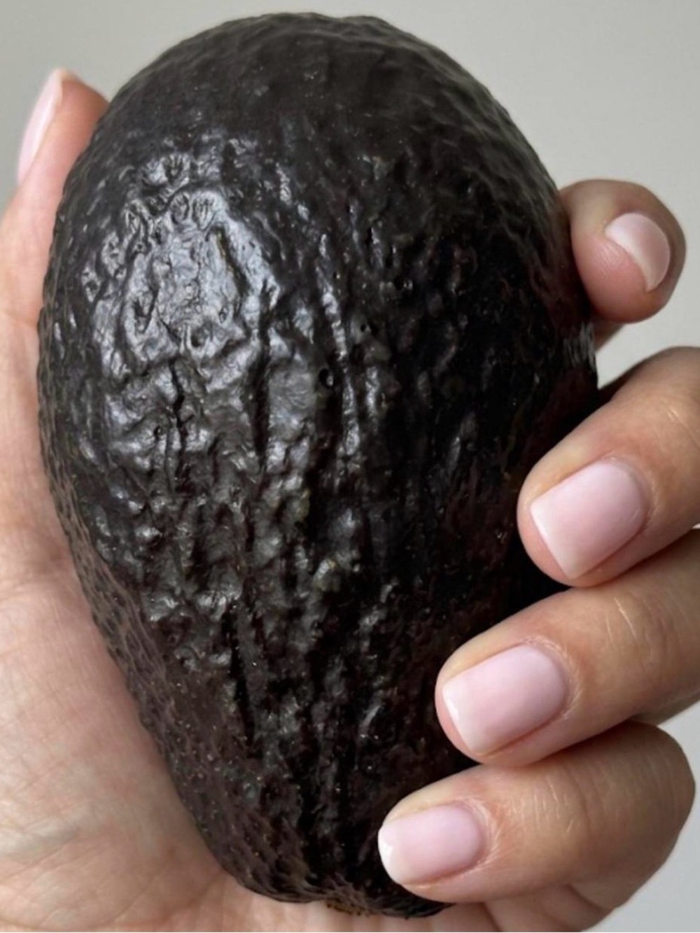 Avocado Coin Purse Made in Mexico – Cute Funny Novelty Change Pouch Black Avocad